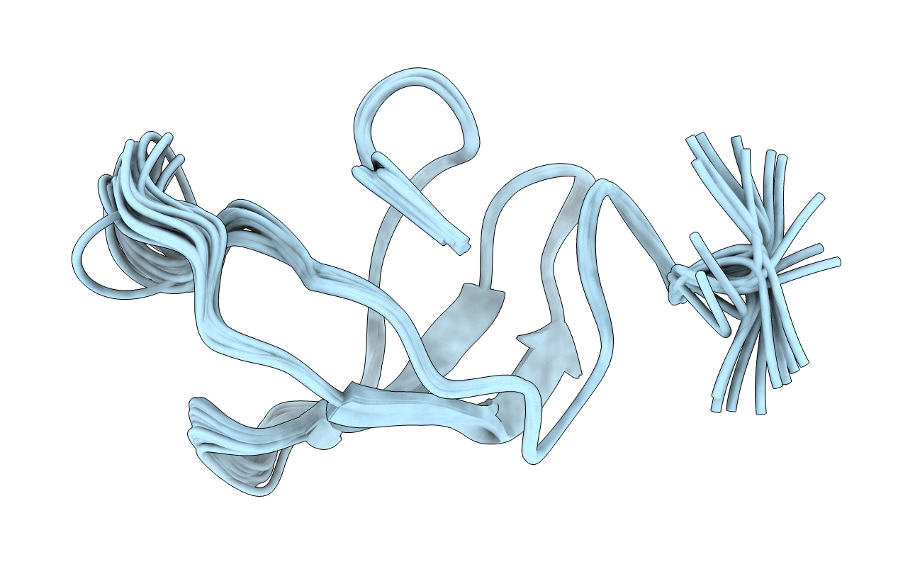 5NBB image