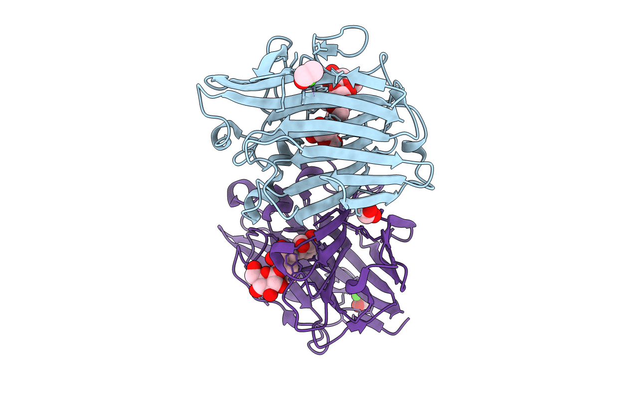 5NBP image