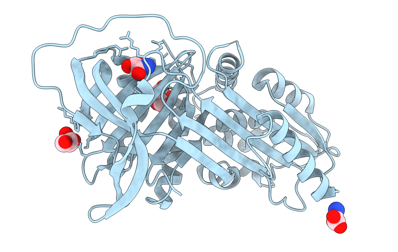 5NBU image