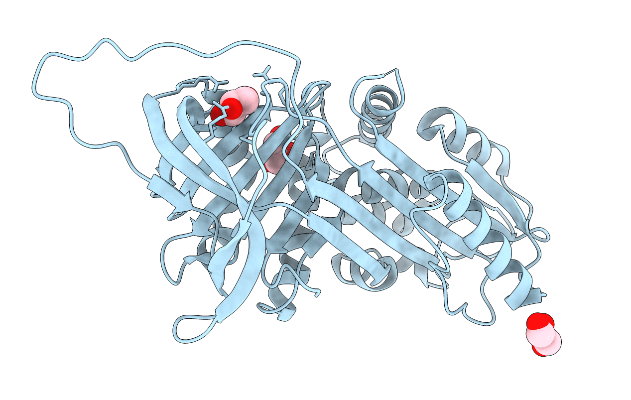 5NBV image
