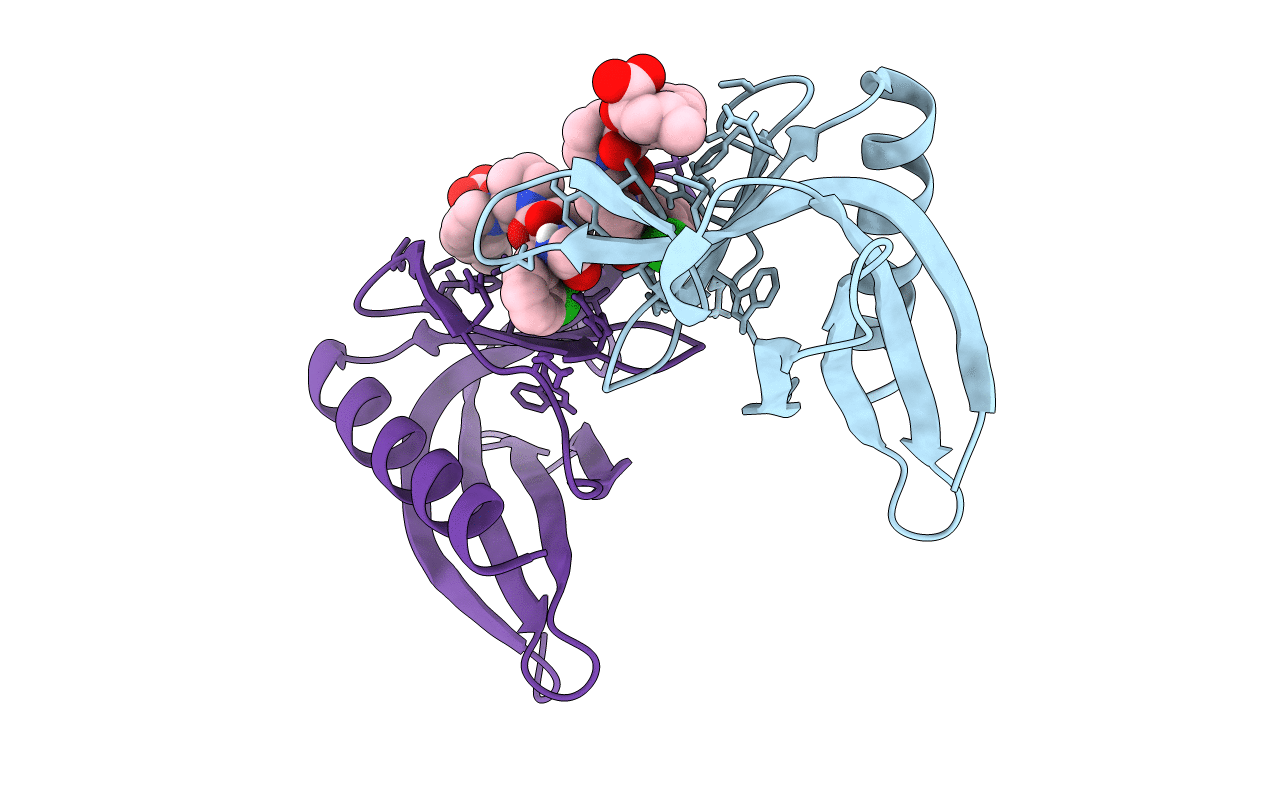5NBX image