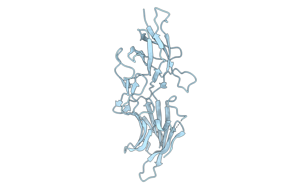 5NFI image
