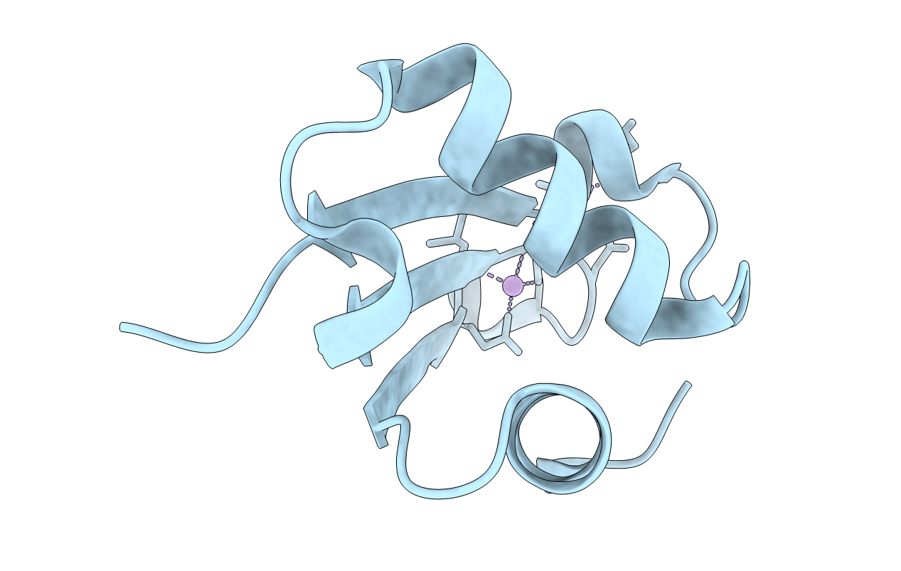 5NFM image