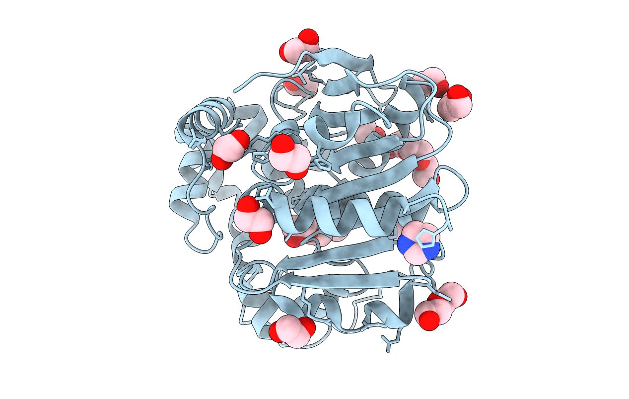 5NFQ image