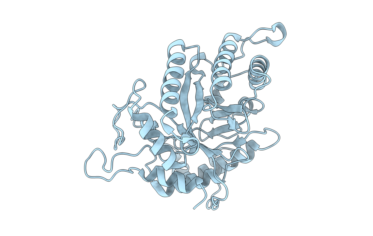 5NGW image