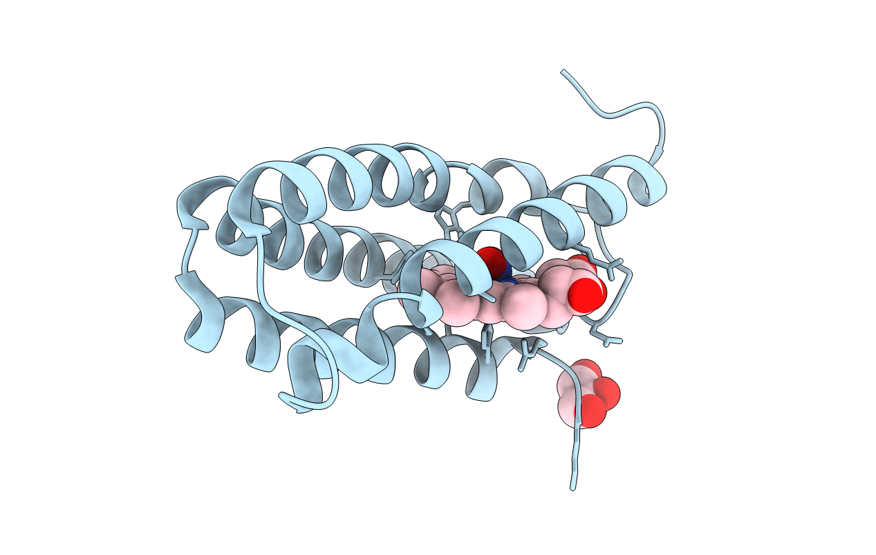 5NGX image