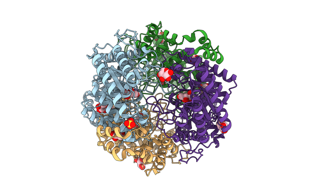 5NH9 image