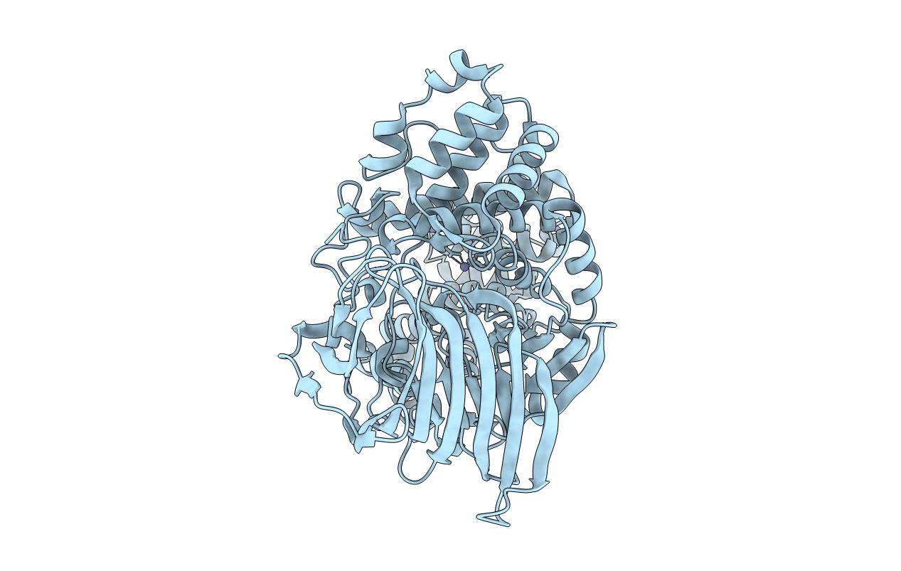 5NID image