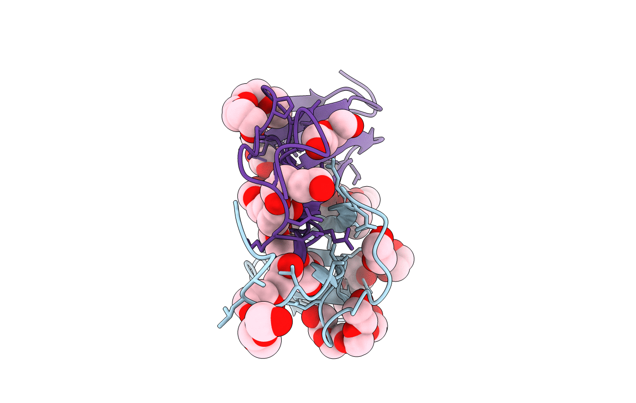 5NIR image