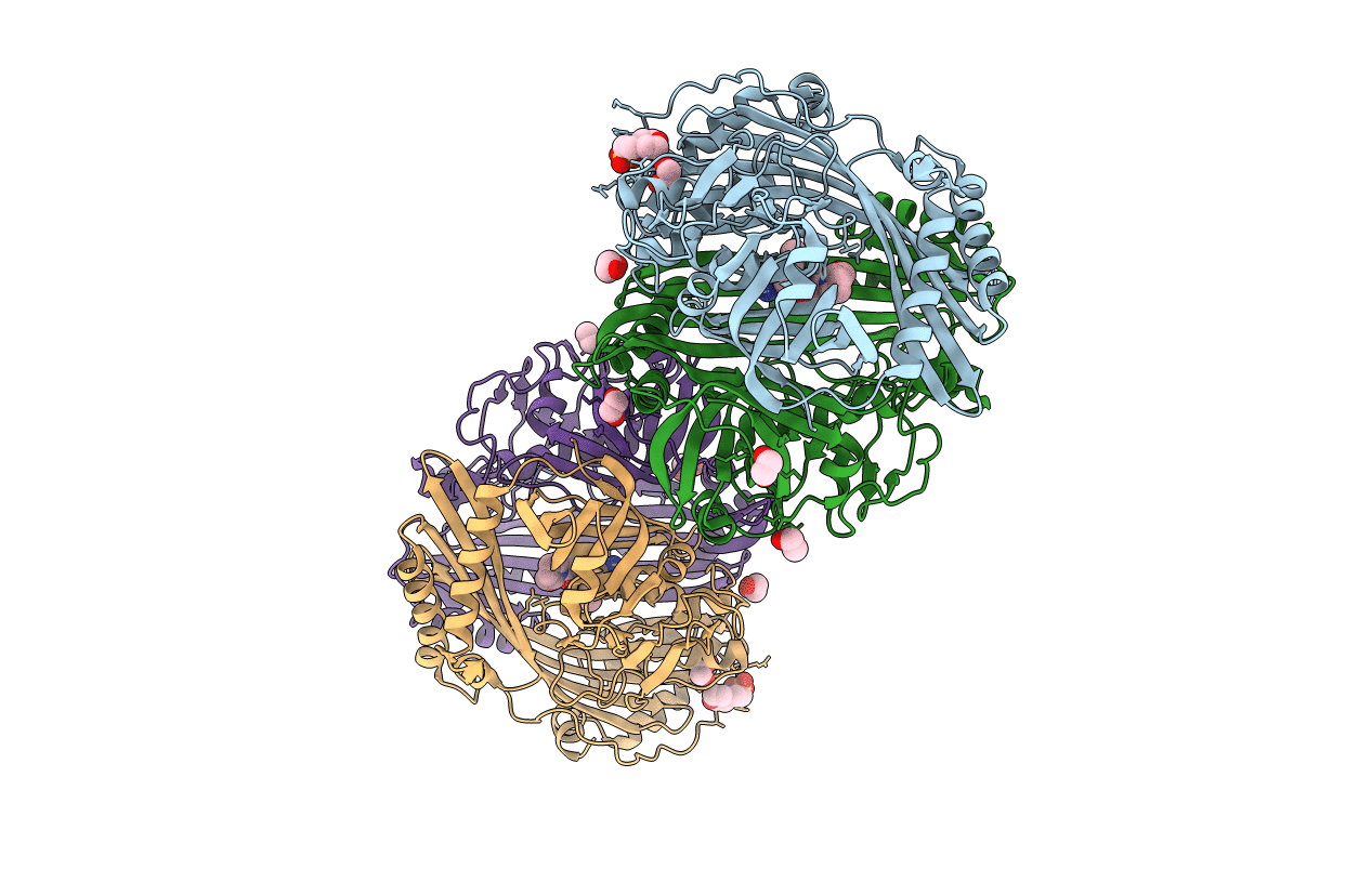 5NJB image