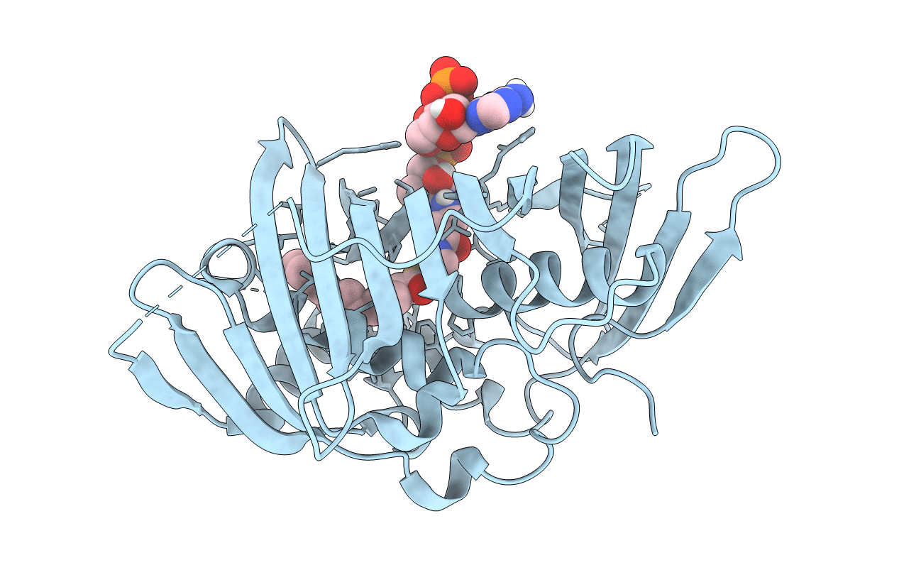 5NJI image