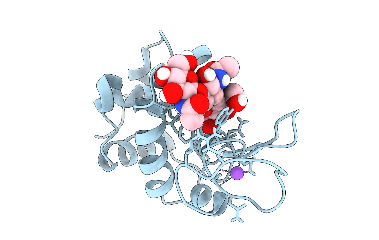 5NJP image