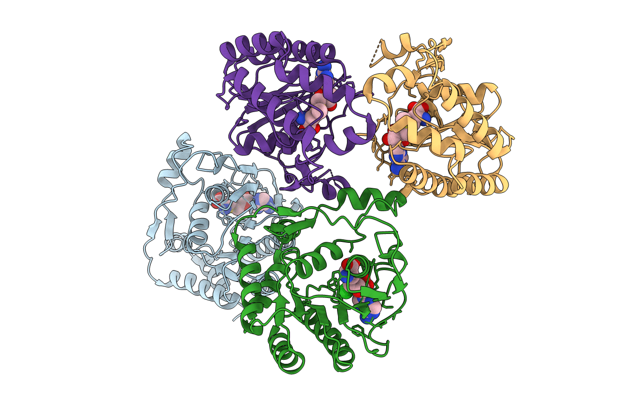 5NJV image