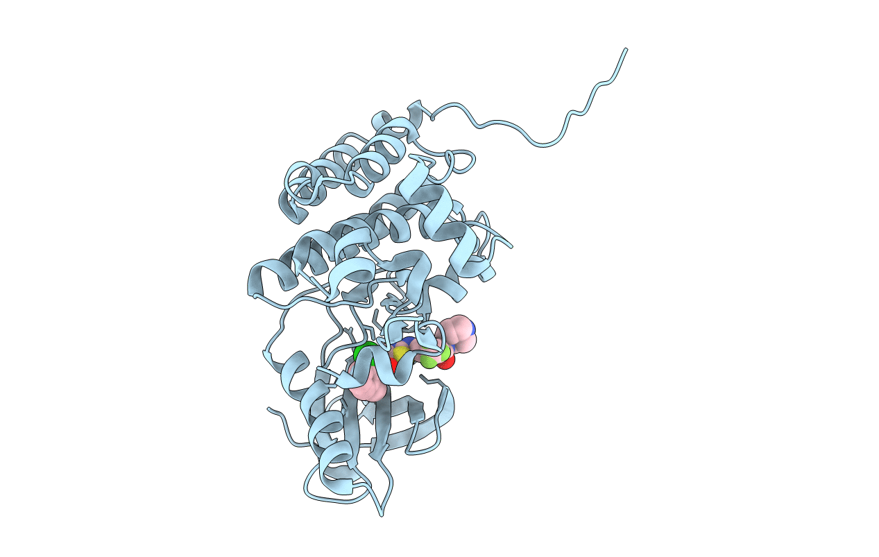 5NKF image