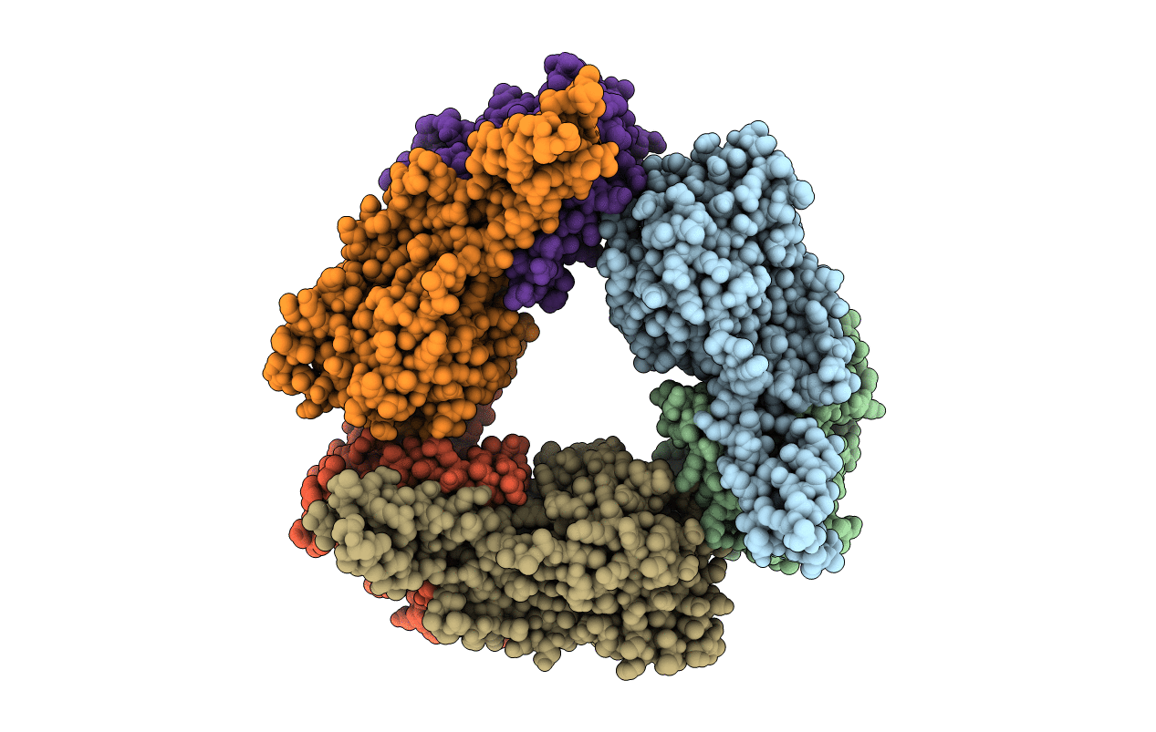 5NKK image