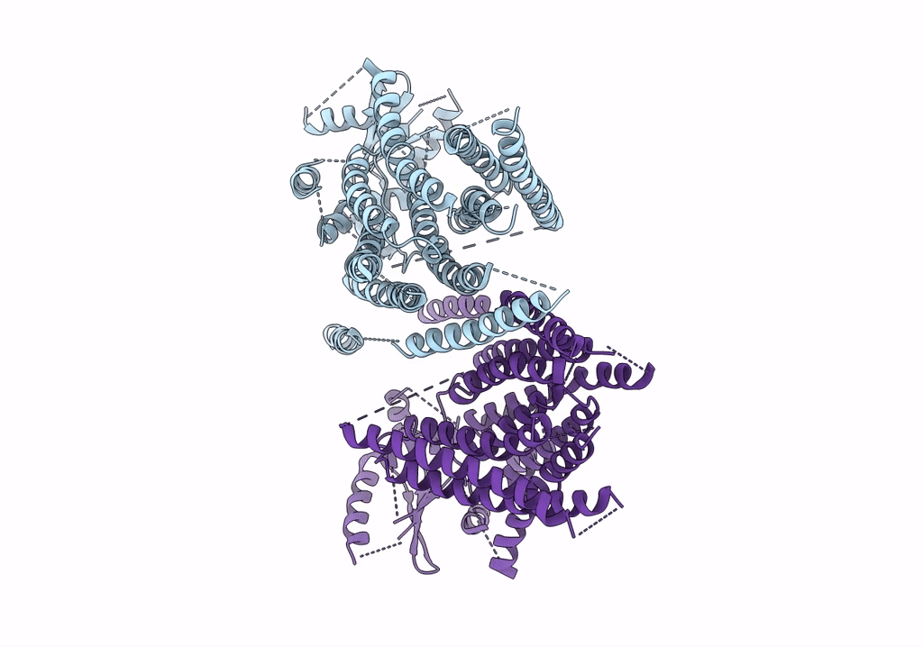 5NL2 image