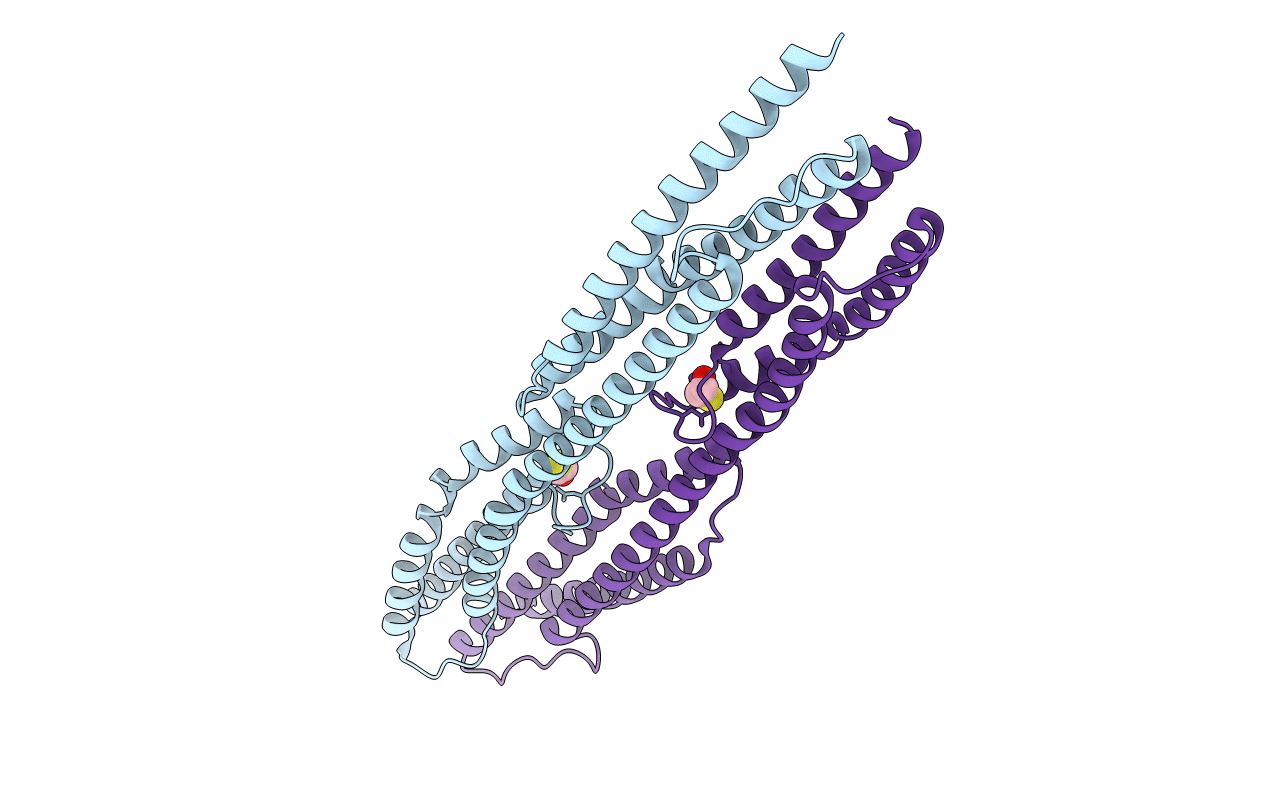 5NL6 image