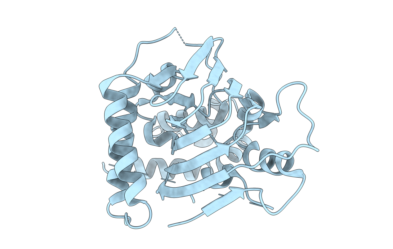 5NLA image