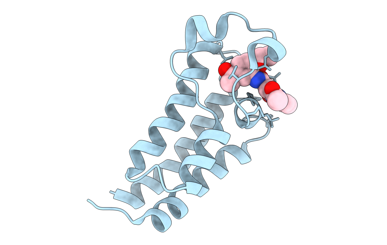 5NLK image
