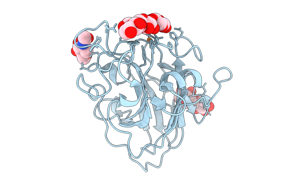 5NLP image
