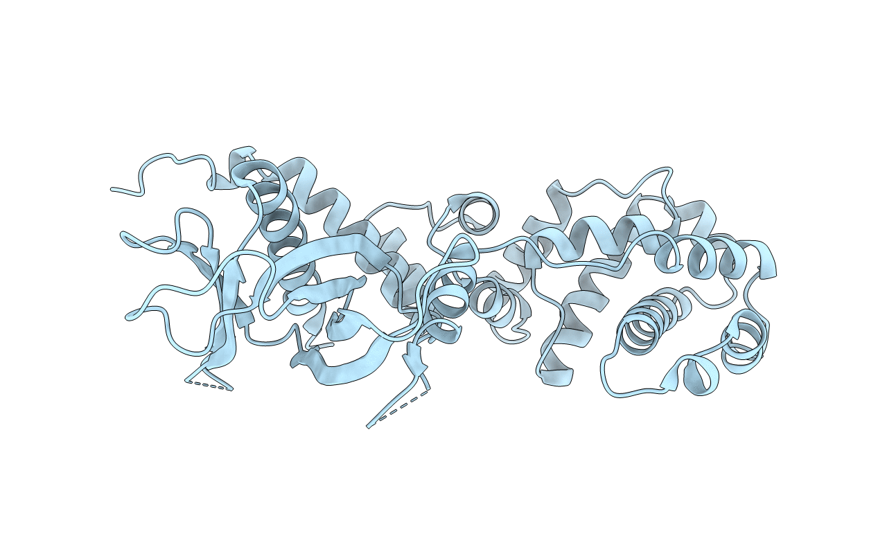 5NLV image