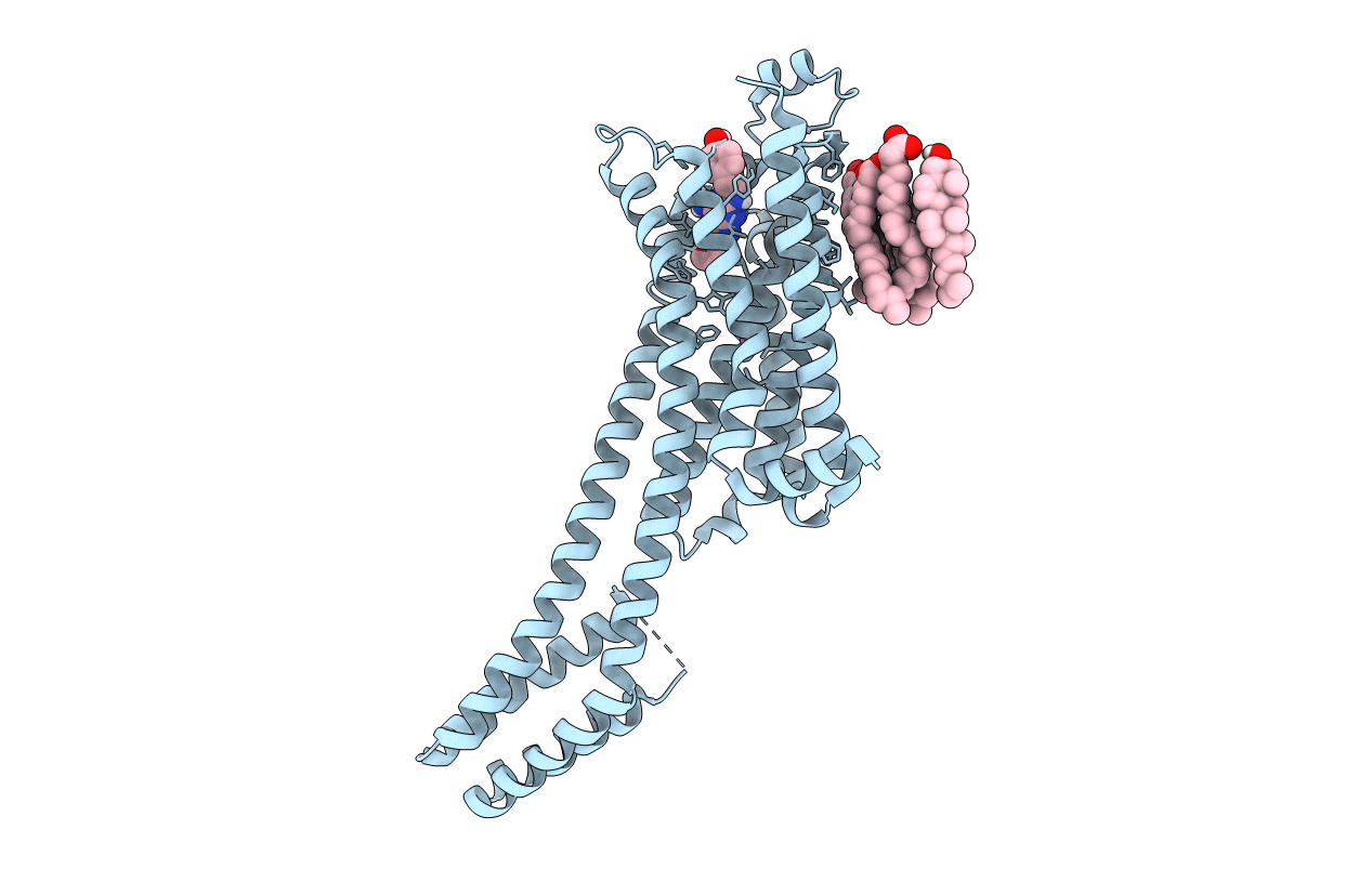 5NLX image