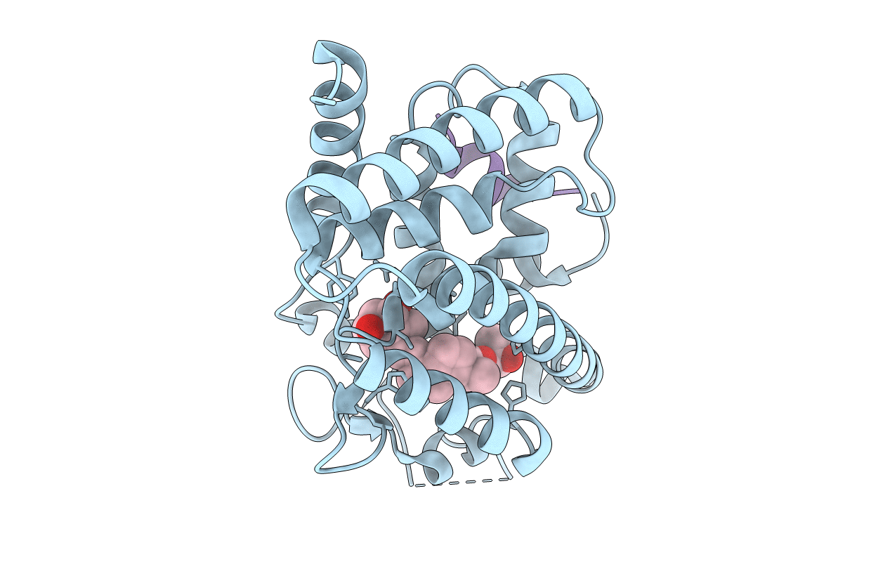 5NMA image