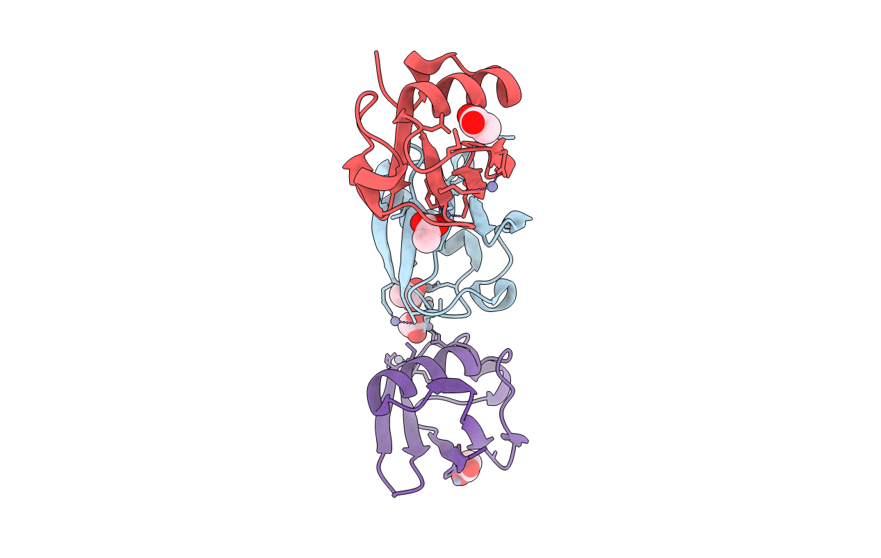 5NMC image