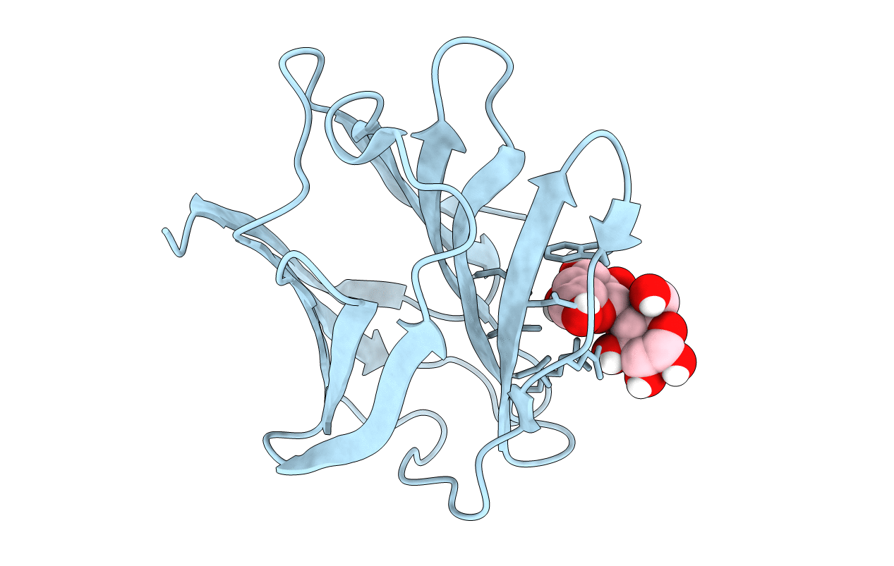 5NMJ image