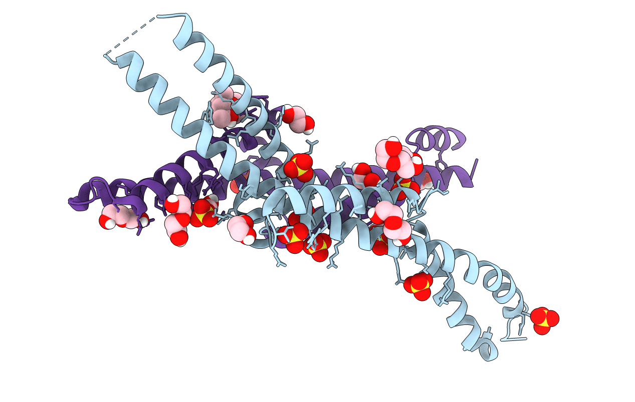 5NMO image