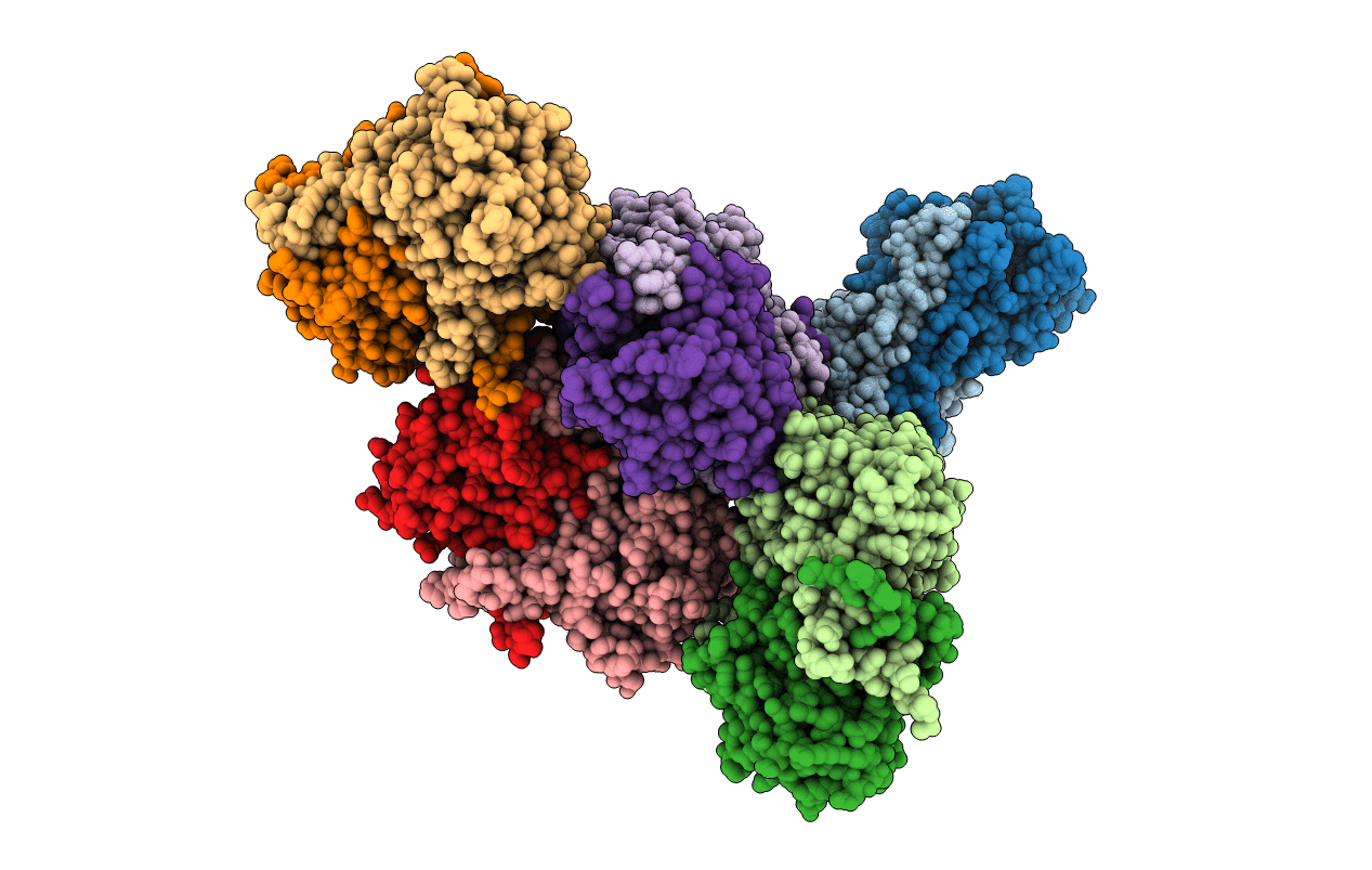 5NMP image