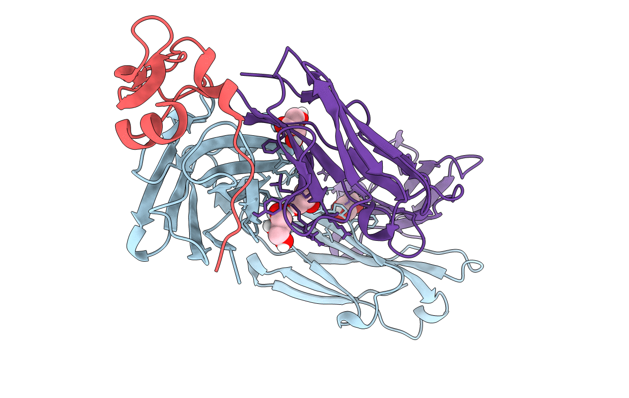 5NMV image