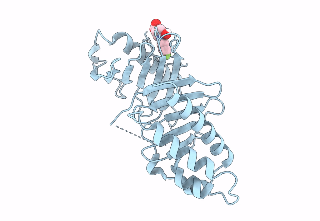 5NN2 image