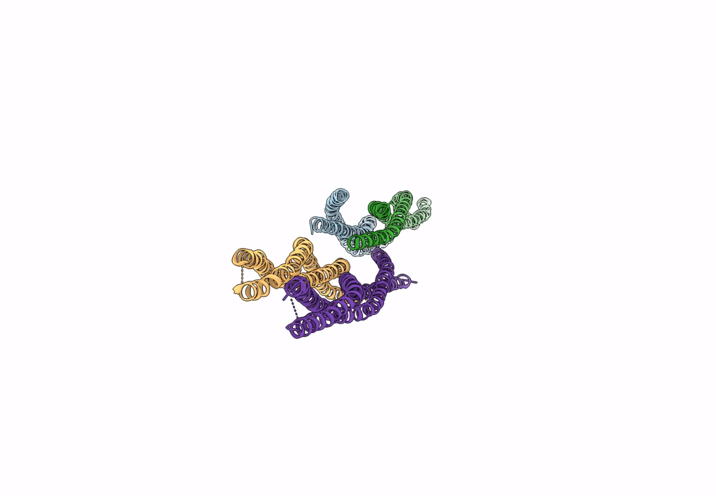 5NNV image