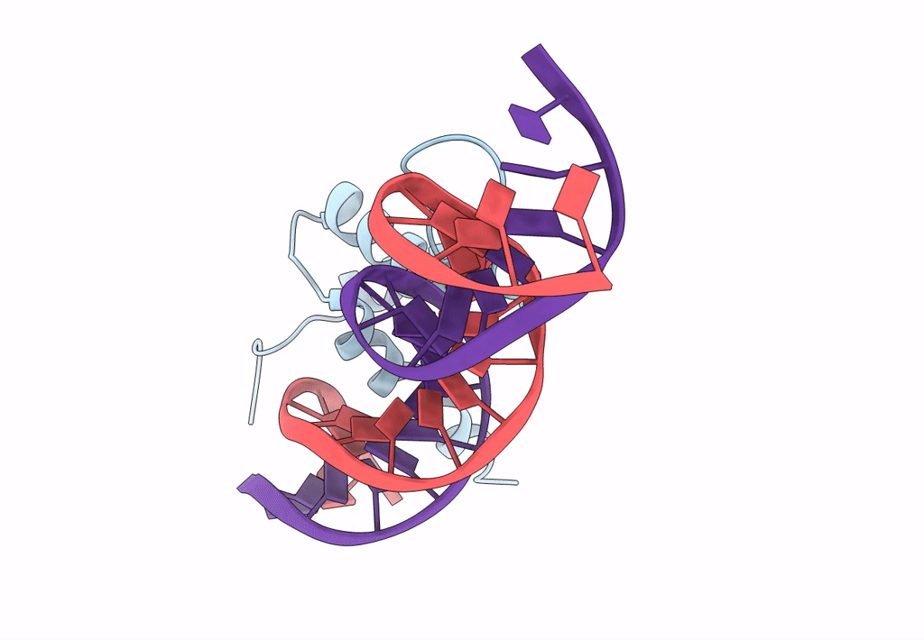 5NNX image