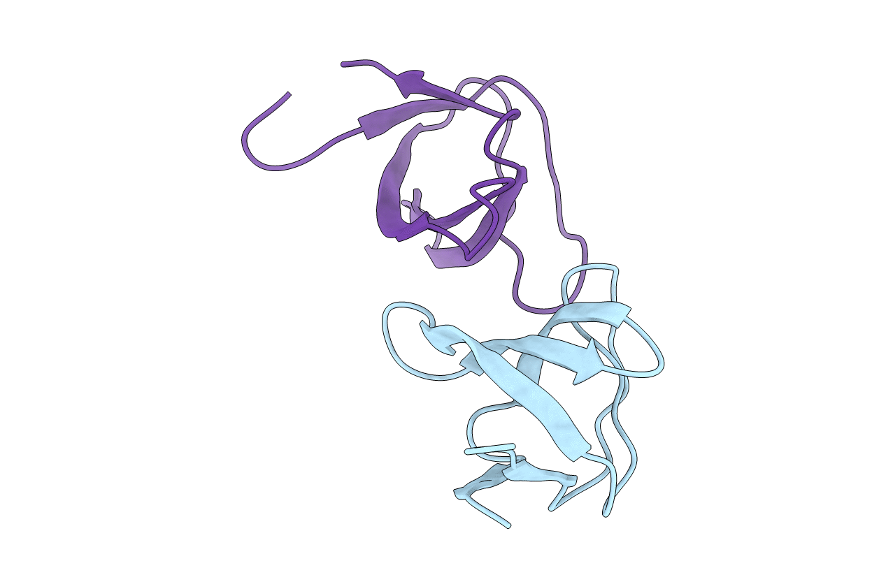 5NP2 image