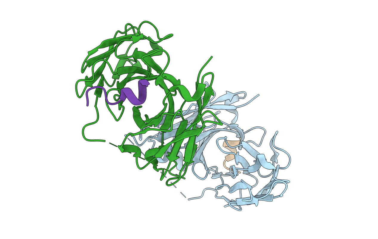 5NPI image