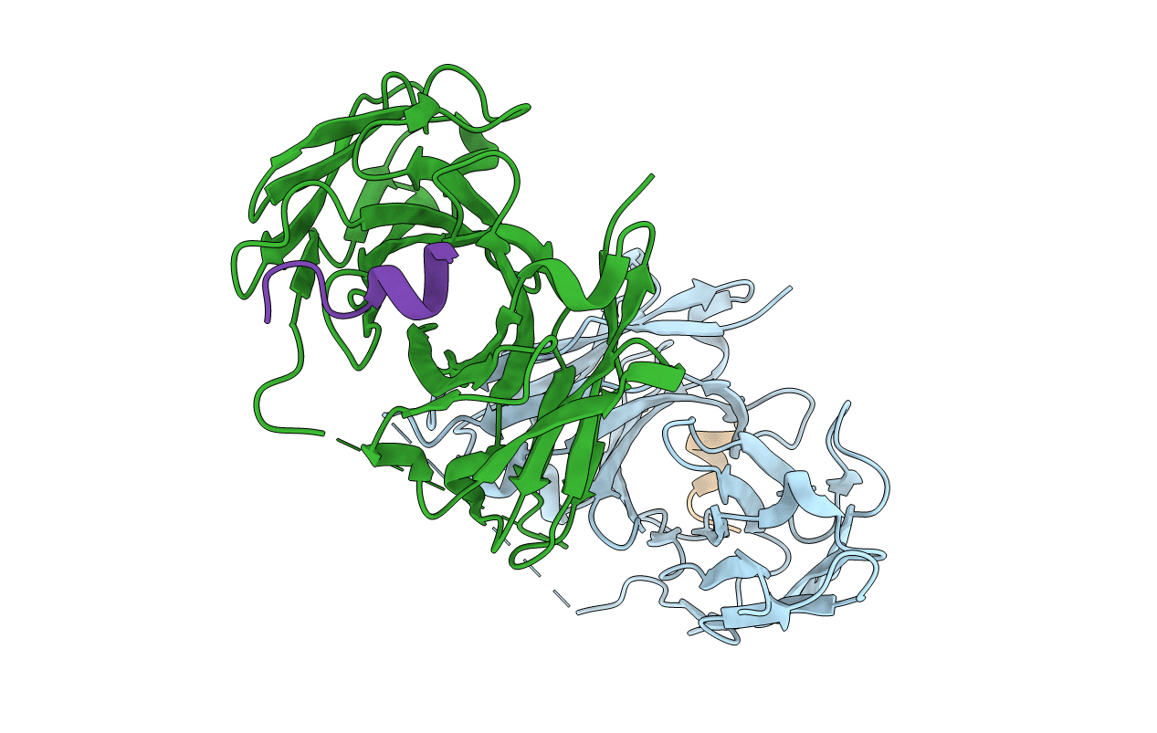 5NPJ image