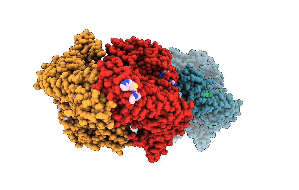 5NPK image
