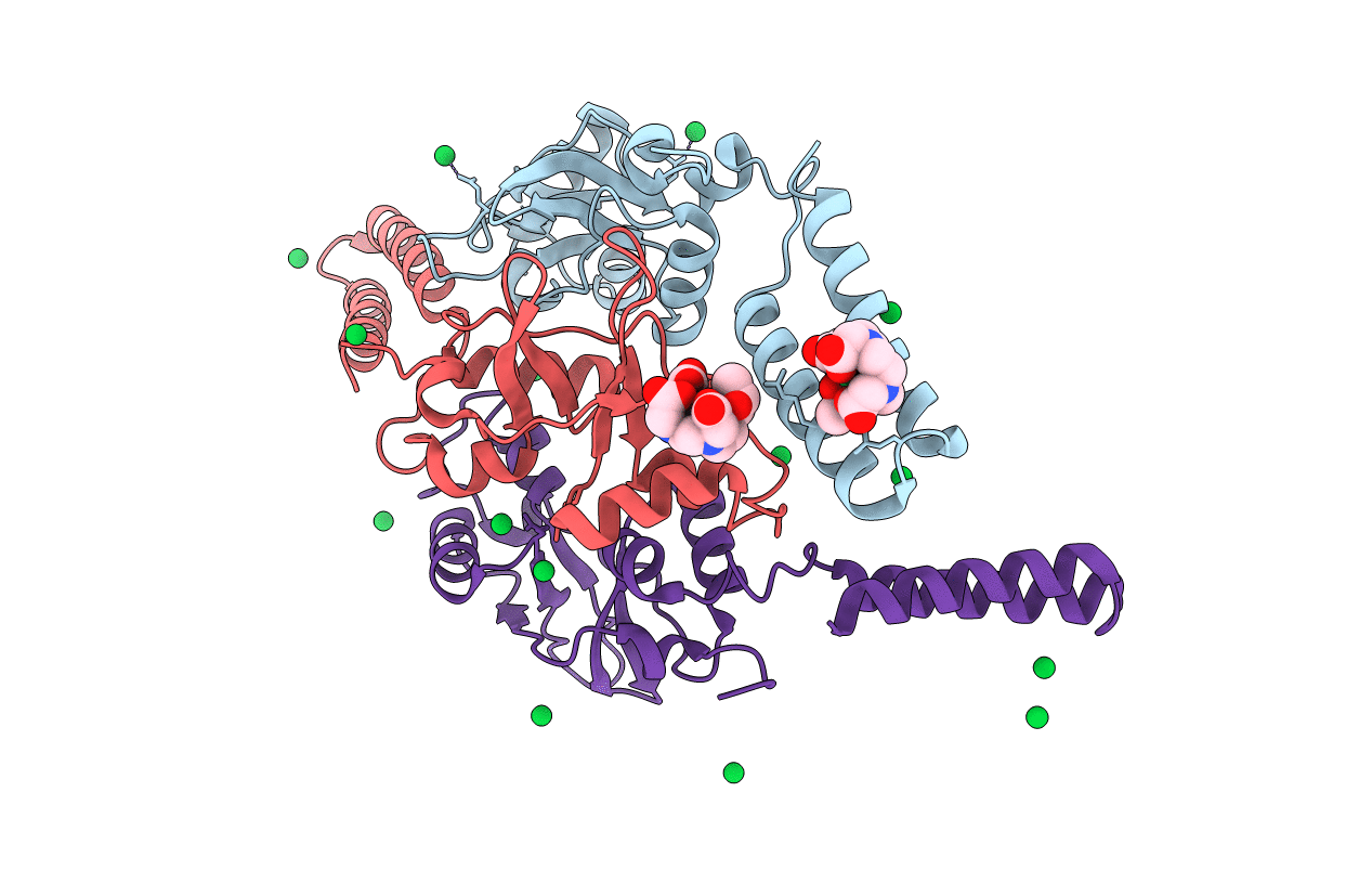 5NPL image