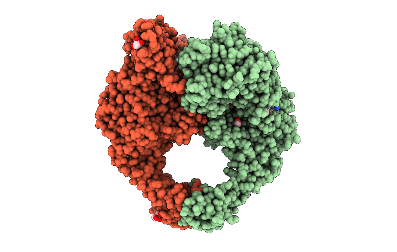 5NPP image