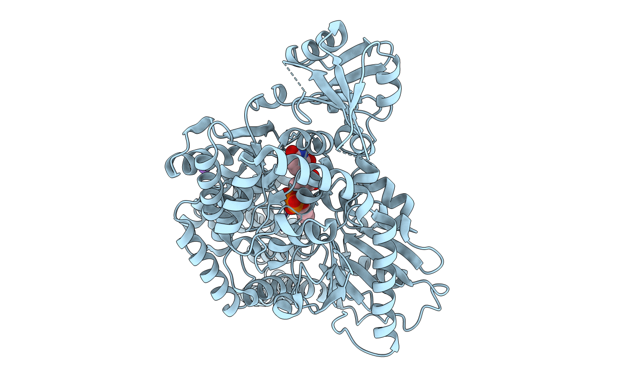 5NPR image