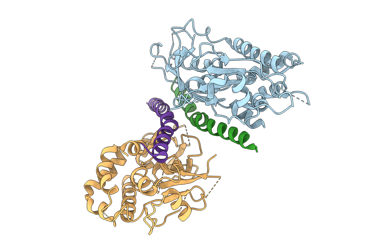 5NPV image