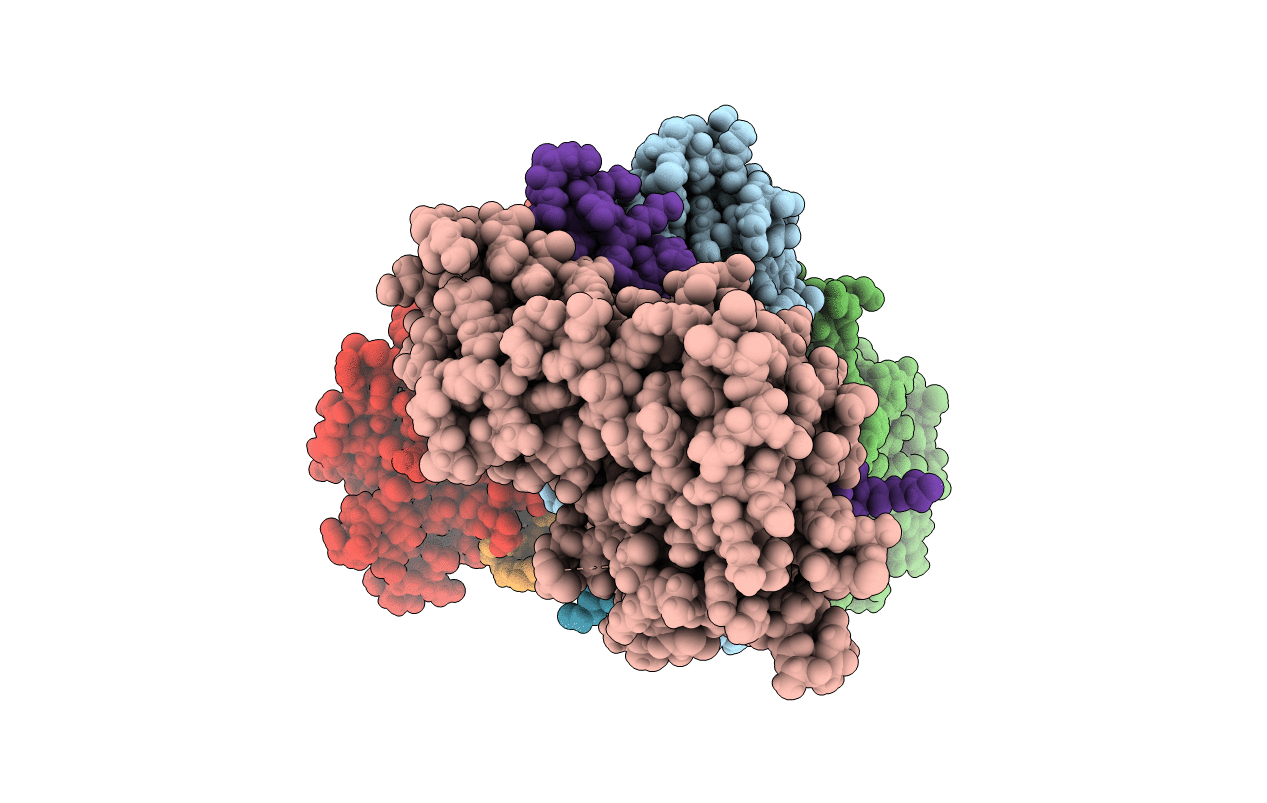 5NPW image