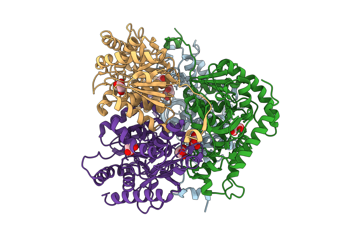 5NQB image