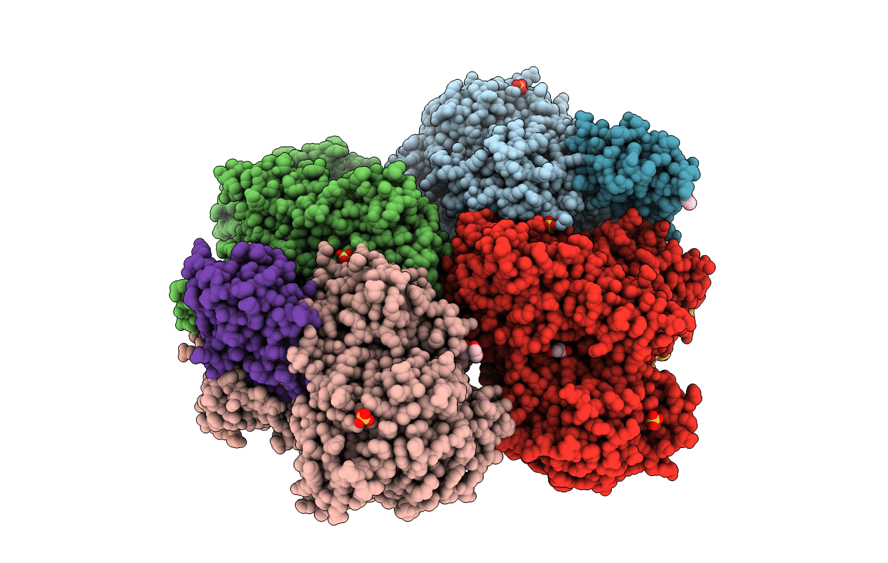 5NQD image