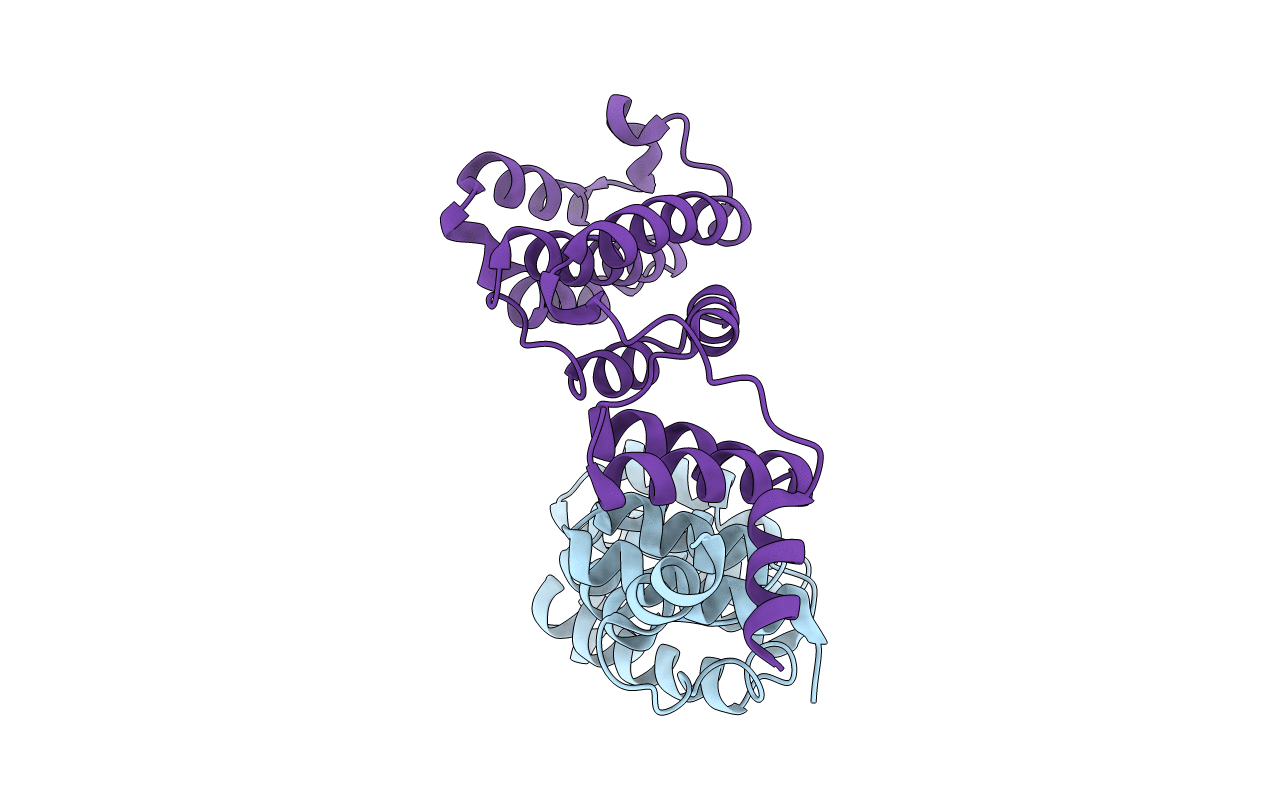5NQS image