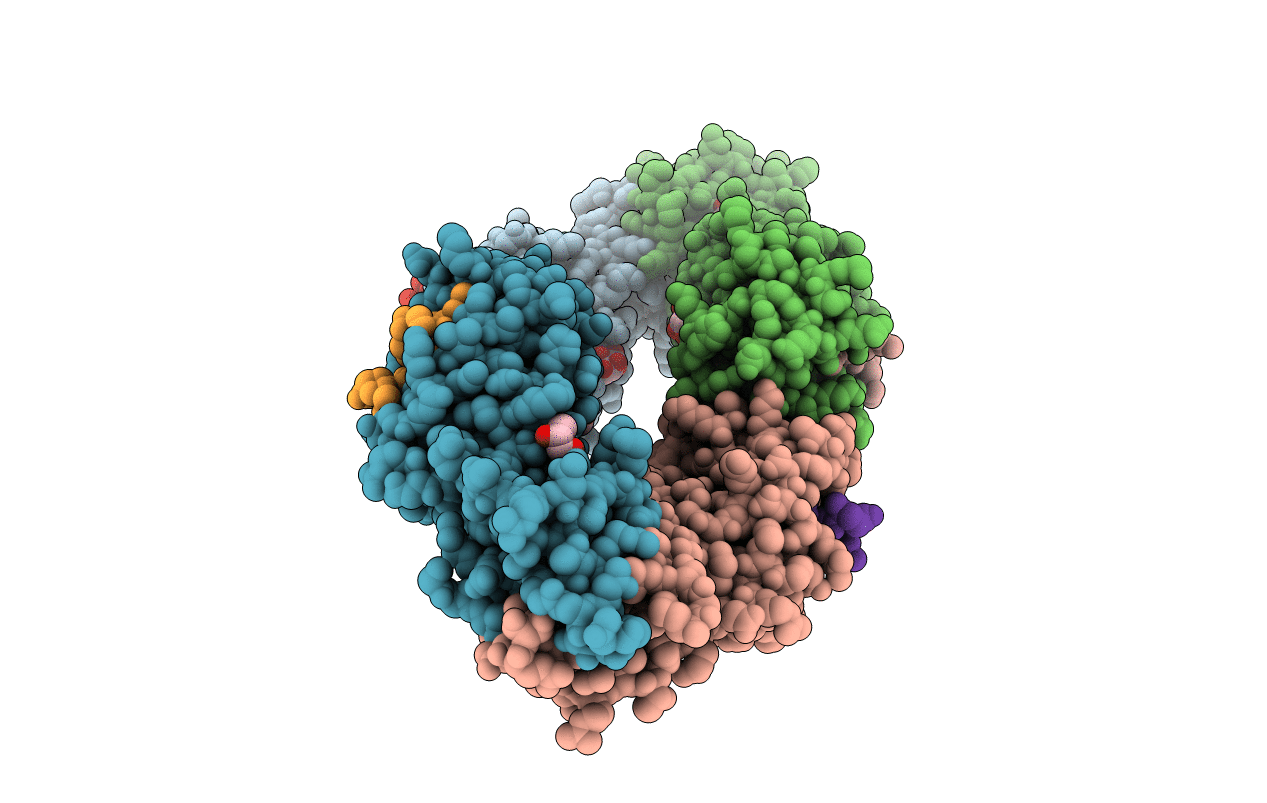 5NQV image