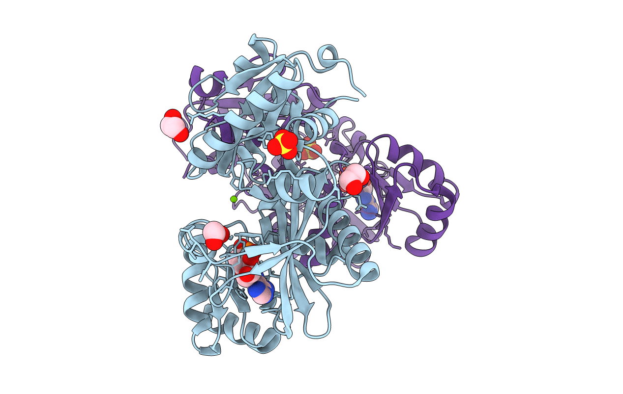 5NRH image