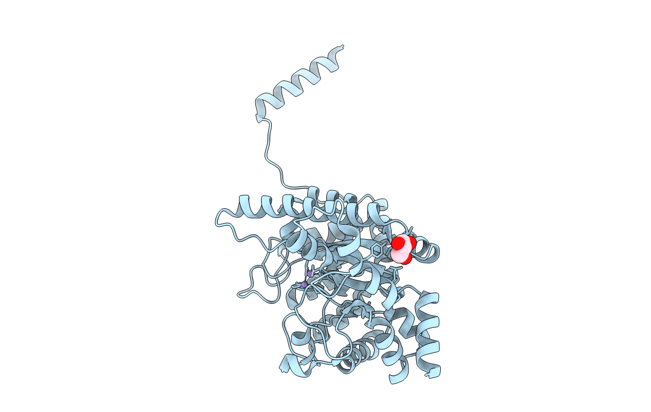 5NRZ image
